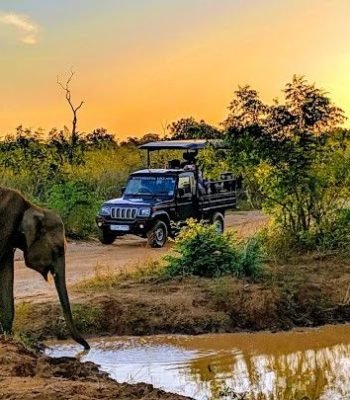 402299f5fd3a17cc6a1a759822c467f8