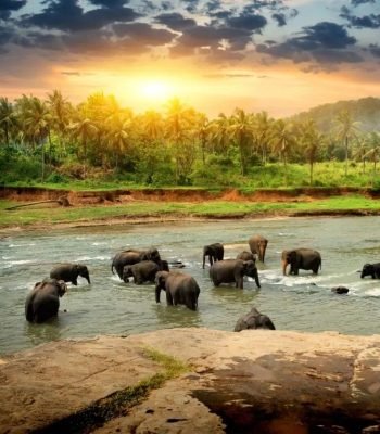 9876132a33d0d824b7c3d6ca1dd233ce